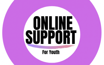 Report finale: Erasmus+ Online support for Youth at Risk