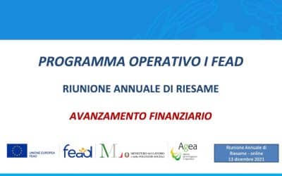 FEAD: Riunione Annuale di Riesame